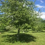 Du Manoir